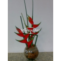 02 Heliconias of "Vase"