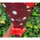 Composition rouge vive 50 cm (05 tiges)