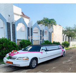 Limousine