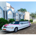 Limousine