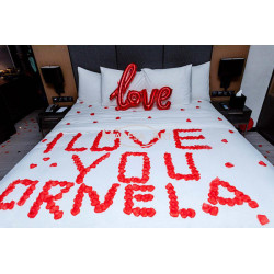 Romantic room