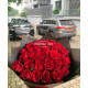 Bright red XXL without foliage 50 cm (30 stems)