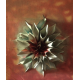 Tableau de décoration
