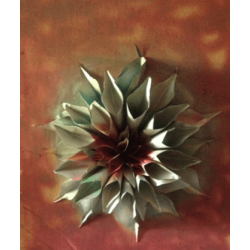 Tableau de décoration